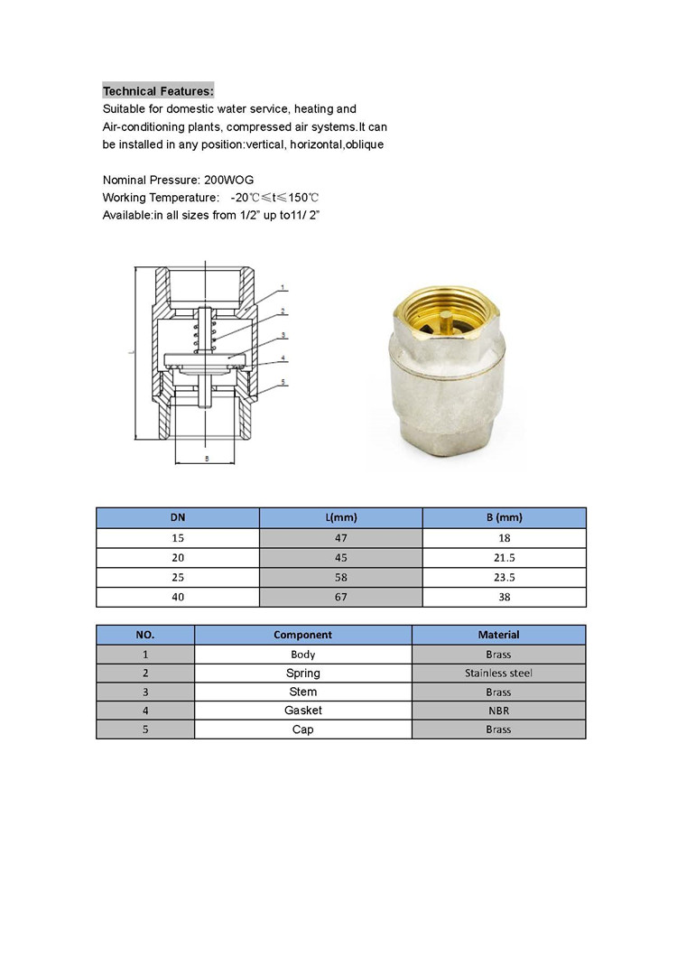 W-7015 B7 立式止回阀